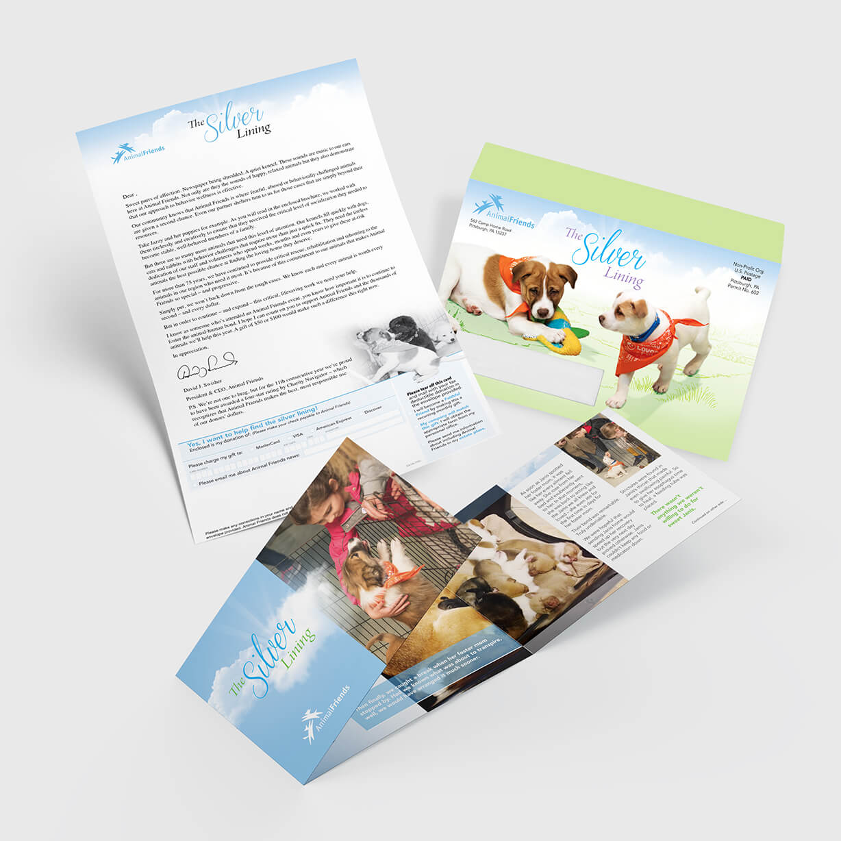 Letter package annual campaign mailer with full color graphics