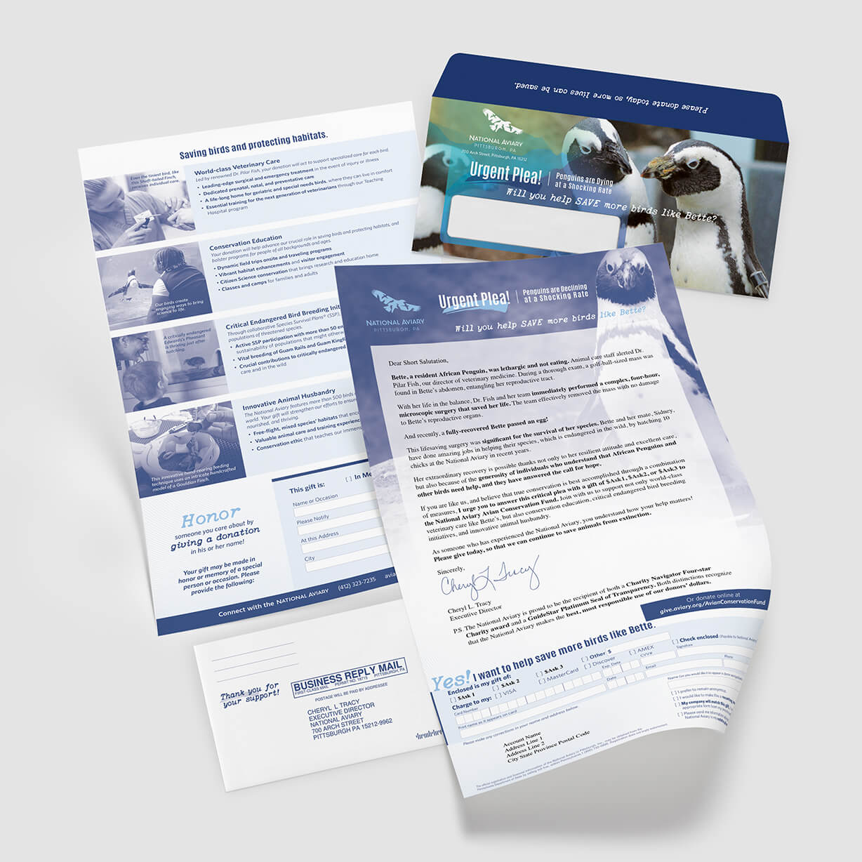 direct mail call to action examples