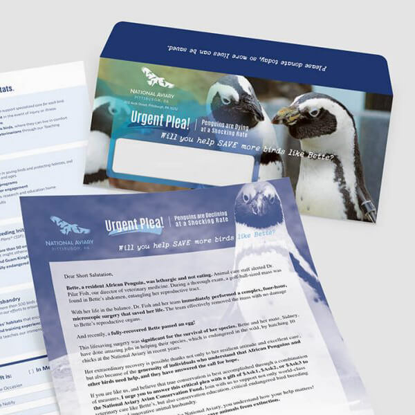 Wildlife donor solicitation direct mail with full color envelope